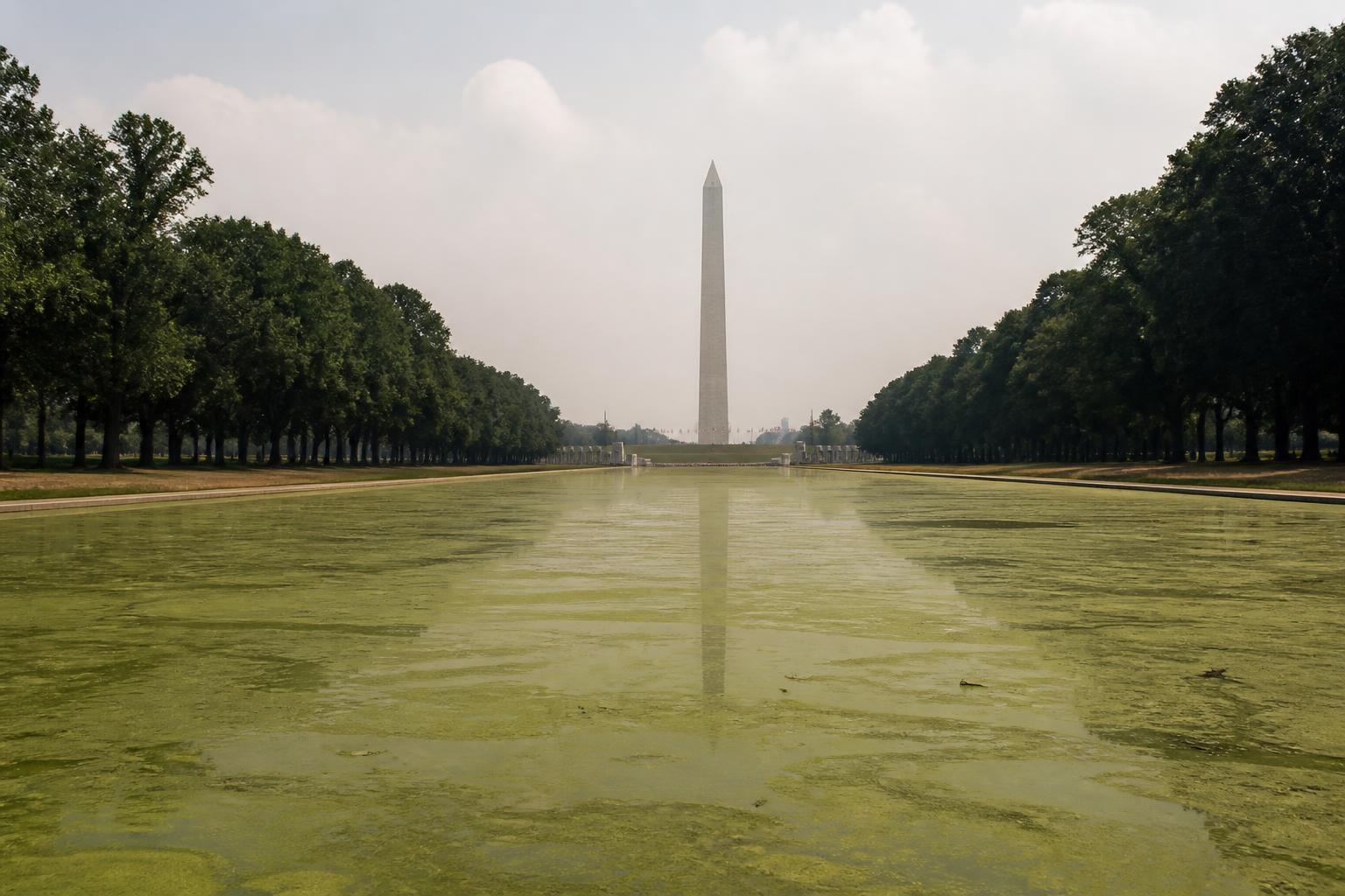 The Lincoln Memorial Reflecting Pool covered in a green algae bloom, with the Washington Monument in the distance.